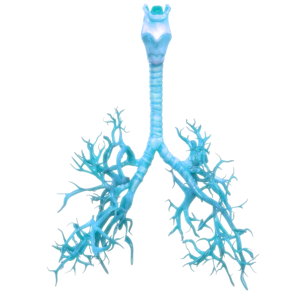 ריאות עם COPD