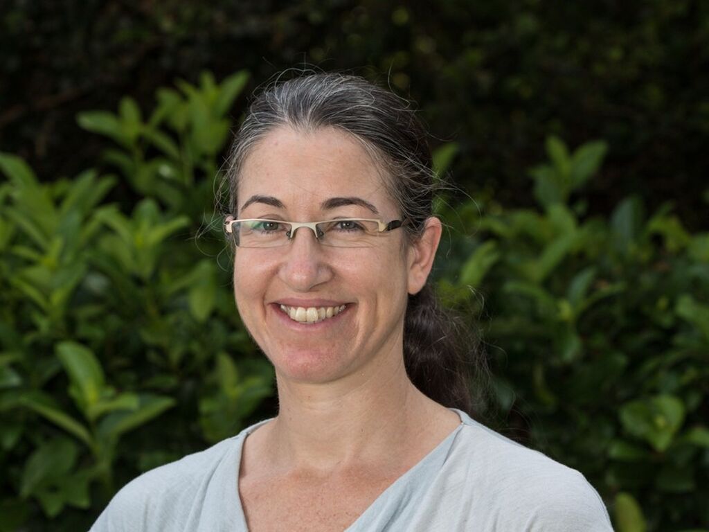 כלים לגמילה מעישון וחידושים בתחום
