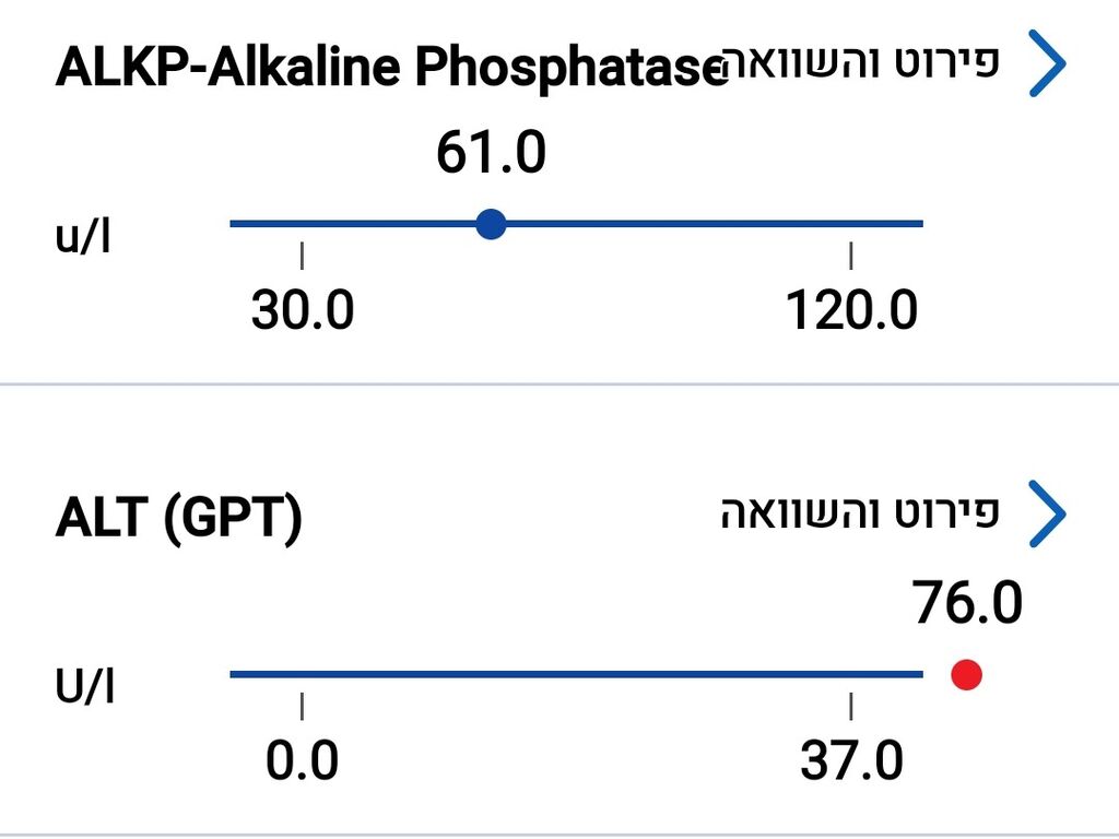 מה הצעד הבא?