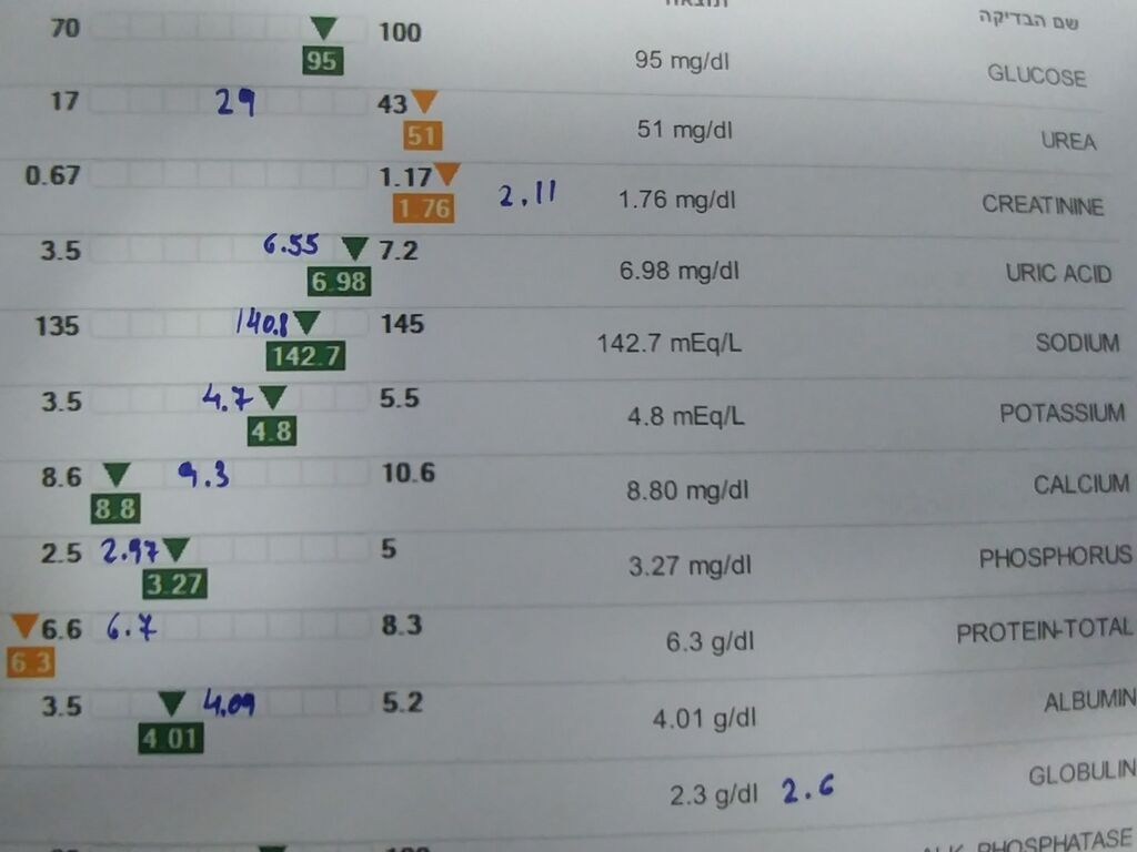 עלייה בקריאטינין