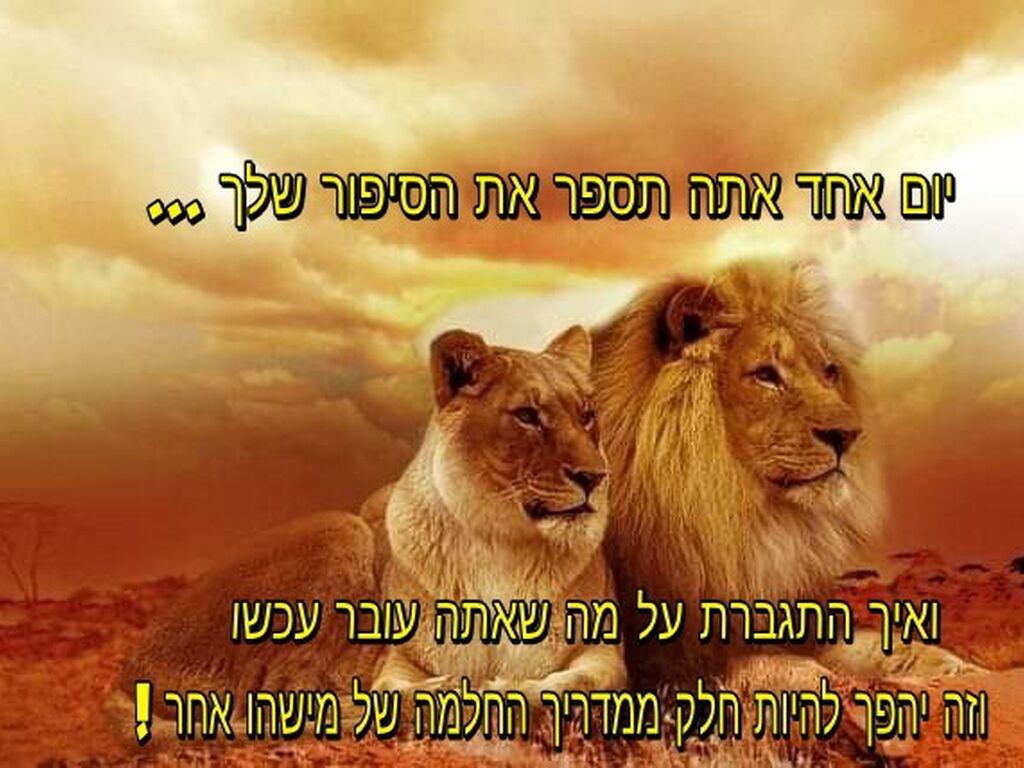 פורום תמיכה פייסבוק