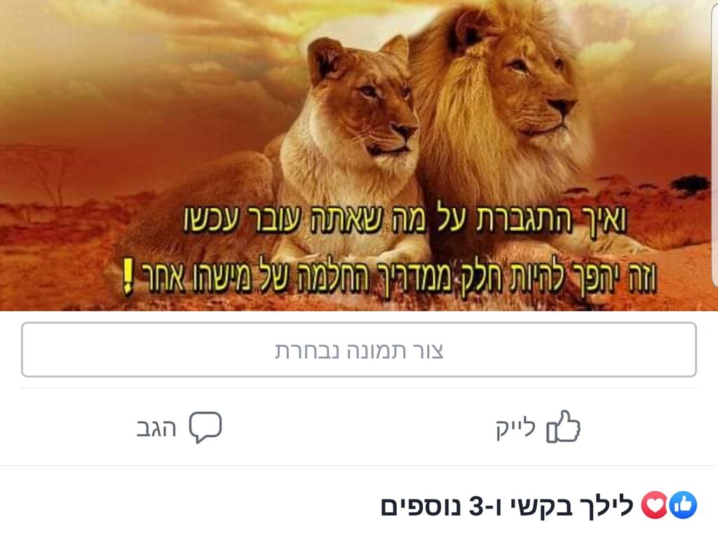 פורום תמיכה בפייסבוק
