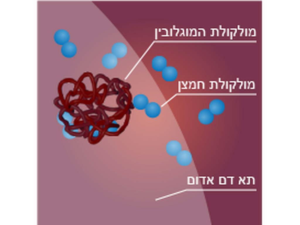 פסוריאזיס ליגמתי