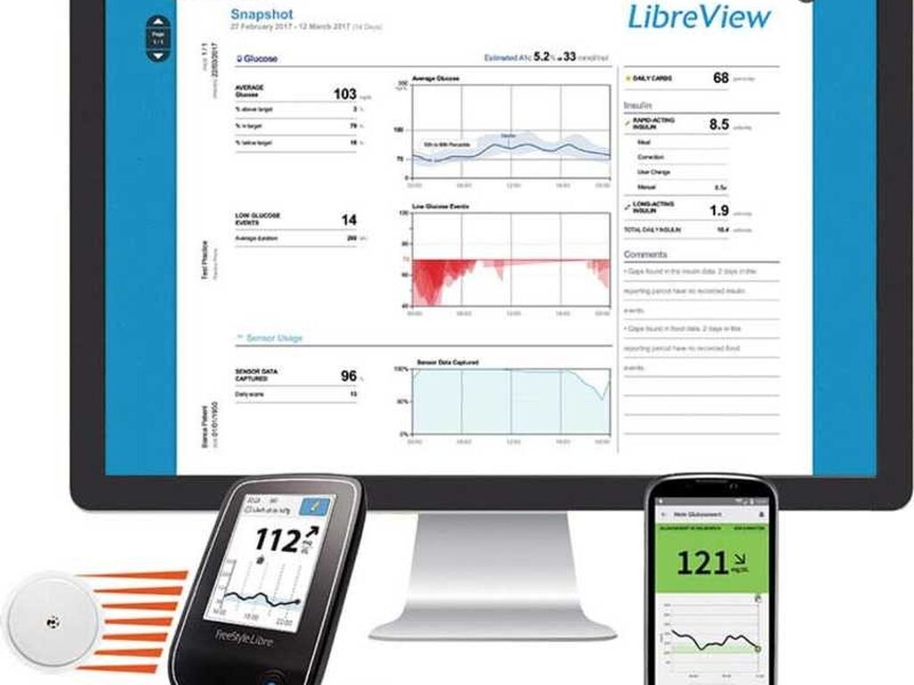 LibreView Data