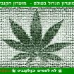 תנו-חשיש-לקשיש-ושאכטה-לסבתא