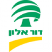 אילן-b