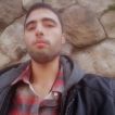 Tomer18