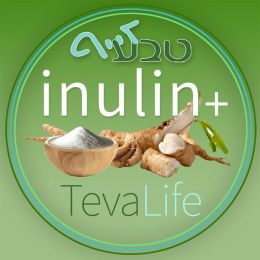 בריאות וחיידקים טובים בריאות וחיידקים טובים