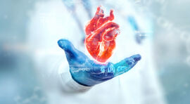 גורמי סיכון למחלות לב: כל המידע