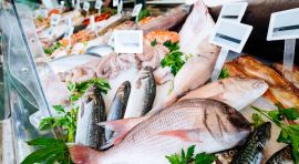 דגים ובריאות: כל מה שצריך לדעת