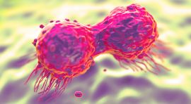 תרופות ביולוגיות לסרטן השד