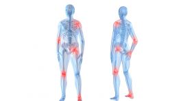 מפרקי הגוף: על המפרקים השונים והמחלות שמשפיעות עליהם 