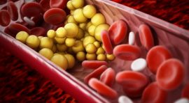 שומנים בדם: על טריגליצרידים וכולסטרול 