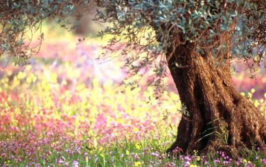 מה הסיכוי שזה יקרה? אני בשוק! מה הסיכוי שזה יקרה? אני בשוק!