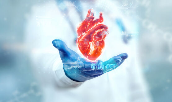 גורמי סיכון למחלות לב: כל המידע