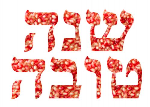 מערכת כמוני