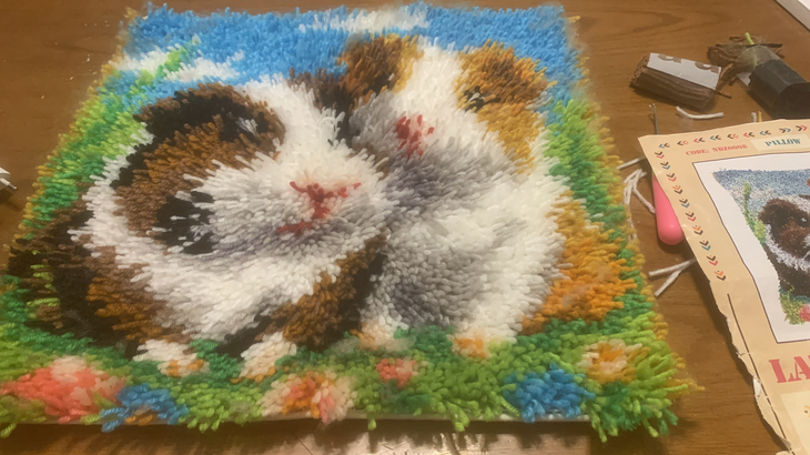 פיניקס57