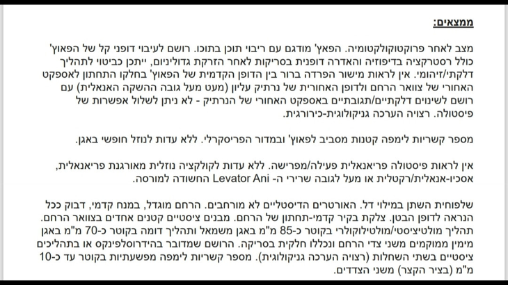 פאוץ 