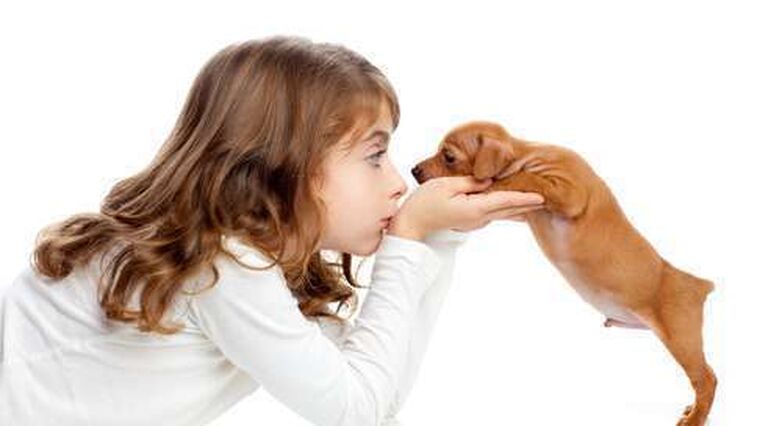 מחקרים מצאו כי לילדים שגדלו סביב חיות סיכון מופחת לפתח אסתמה ואלרגיות (צילום: Shutterstock)