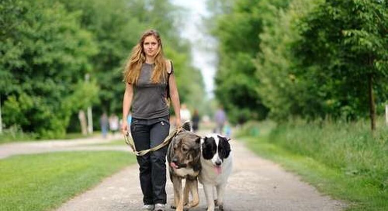 פעילות מתונה כמו הליכה עם הכלב או גינון מפחיתה סיכון לסרטן השד (צילום: Shutterstock)
