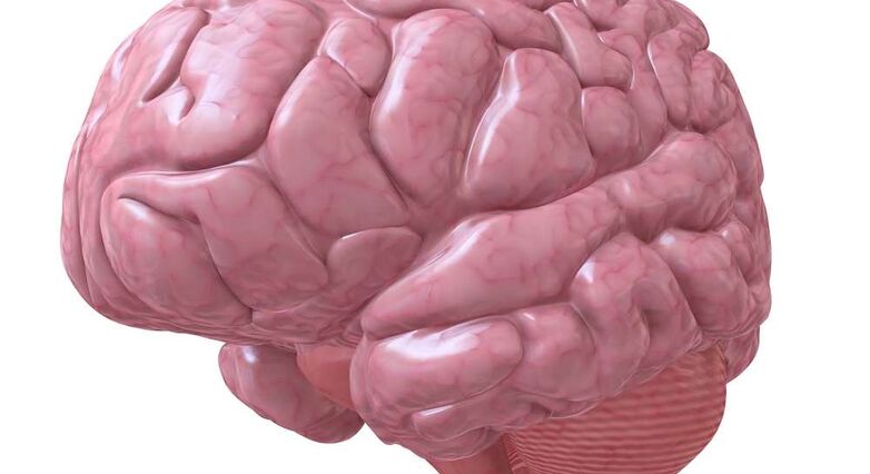 באנשים עם מחלה מתקדמת נצפתה הצטברות חריגה של נתרן בכל המוח (צילום: Shutterstock)