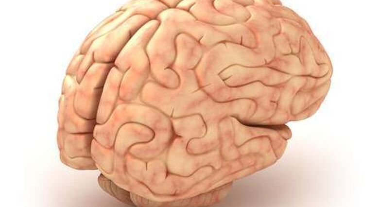 כאב פיזי משאיר ''חתימה'' ייחודית במוח (צילום: Shutterstock)