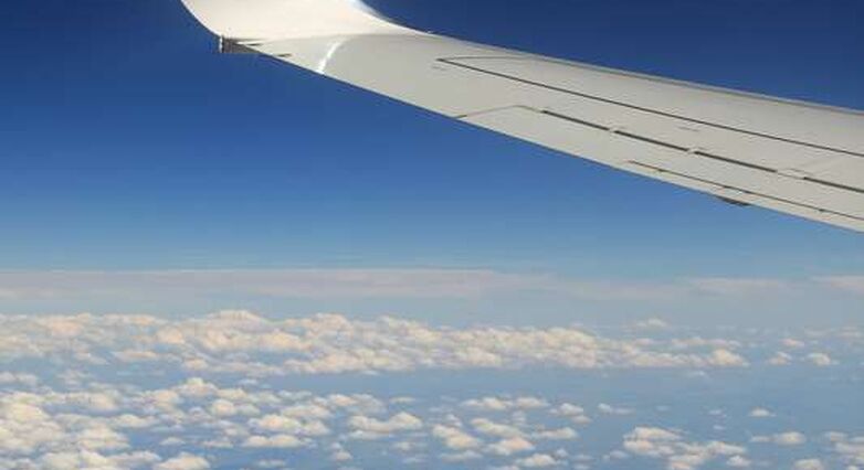 רמת החמצן בדם המושפעות מטיסה אינן בעלות השפעה מזיקה (צילום: אתר panthermedia)