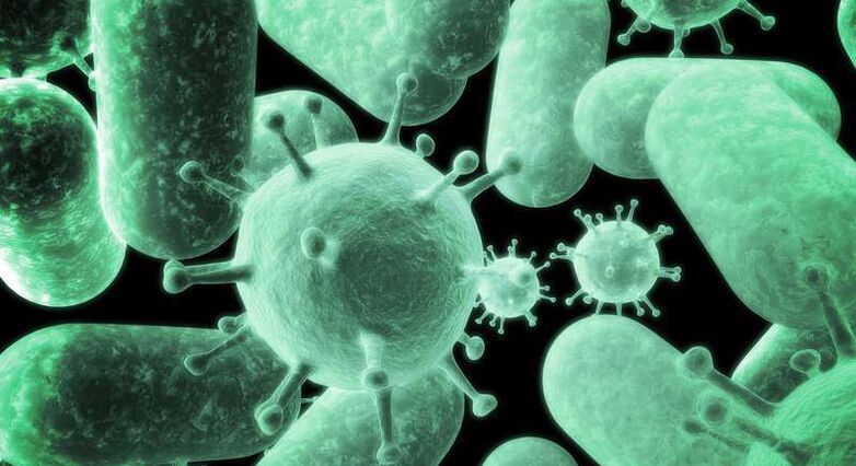 קהילות חיידקים במעי מתחילות להתאושש בצורה סבירה בתוך שבועות לאחר קורס של אנטיביוטיקה. (ציום אתר: Panthermedia)