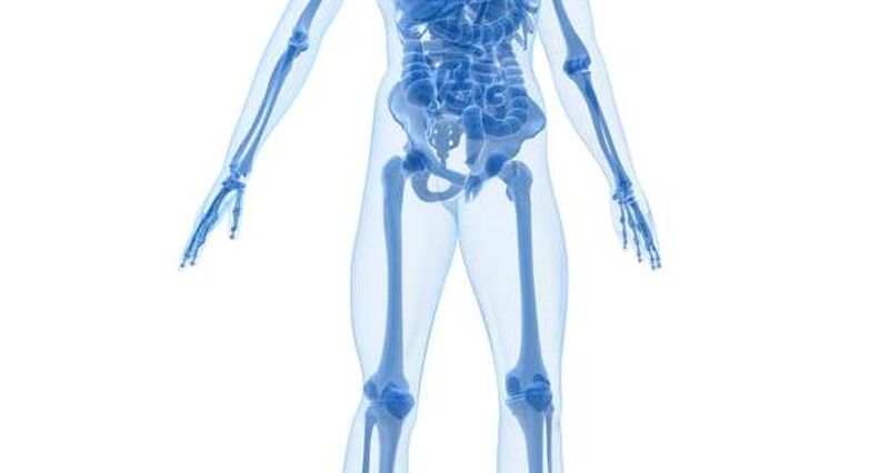  דפדפן הגוף מאפשר לנווט ברחבי הגוף האנושי (צילום: panthermedia)