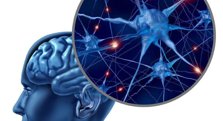 ממיינים תאי מוח (צילום: Shutterstock)