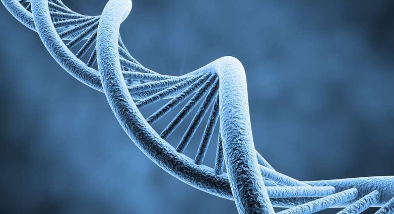 זוהו 29 גנים חדשים הקשורים לטרשת נפוצה (צילום: Shutterstock)