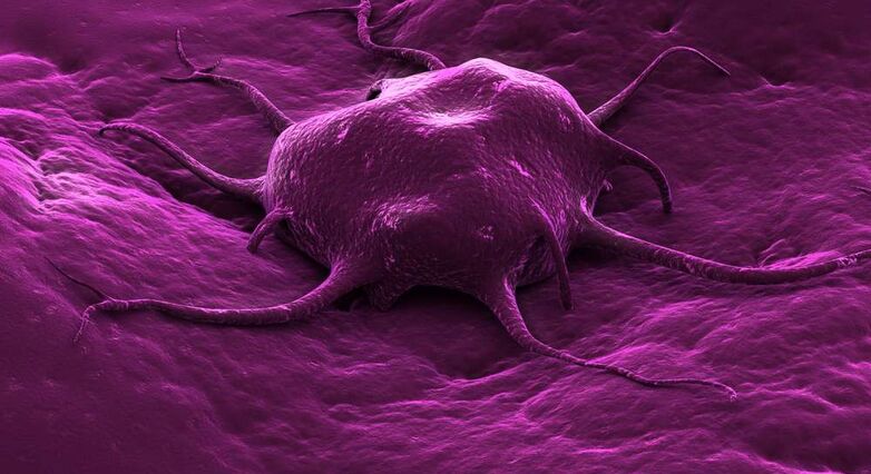 החלבון JAK מאפשר לתאים הסרטניים להתכווץ כך שיוכלו לדחוף עצמם החוצה דרך רקמות בגוף (צילום: Shutterstock)