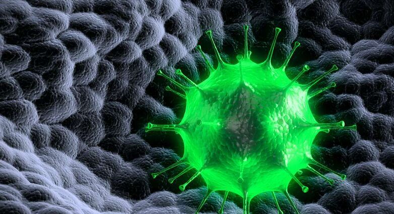 הווירוס המהונדס מוחדר לזרם הדם ותוקף תאים סרטניים ברחבי הגוף (צילום: Shutterstock)