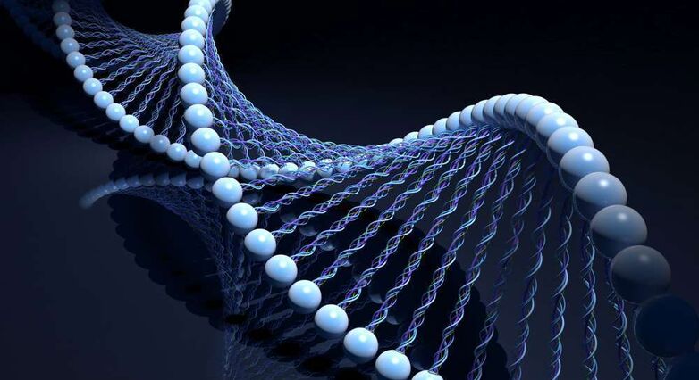 זוהו גנים בעלי תפקיד בהתחדשות עצבים לאחר פגיעה בחוט השדרה (צילום:Shutterstock)