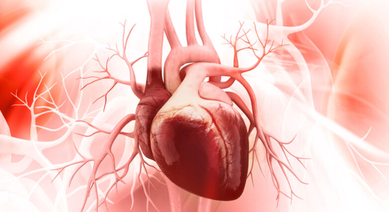 אי ספיקת לב (צילום: shutterstock) אי ספיקת לב (צילום: shutterstock)
