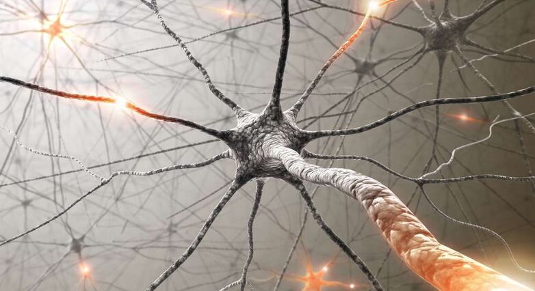 החוקרים מקווים שהיכולת לתקן קשרים במוח תוביל לטיפול במחלות מורכבות כמו טרשת נפוצה (צילום: Shutterstock)