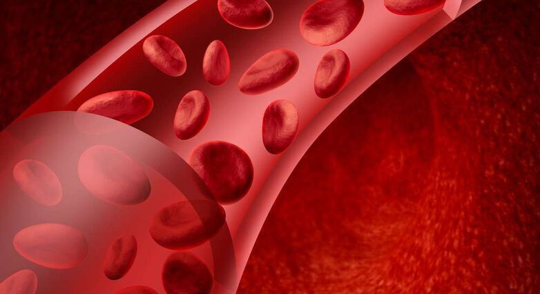 כשהוזרקו לשריר רגל של עכבר בו נחסמה זרימת הדם, הפריציטים יצרו כלי דם חדשים (צילום: Shutterstock)