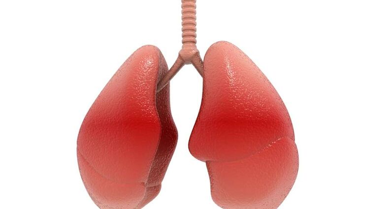 ויטמין D לא מסייע לחולי COPD (צילום: Shutterstock)