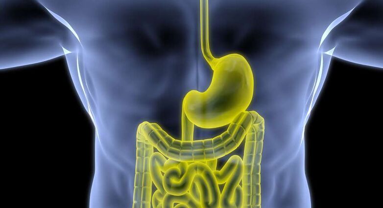 ממצאי המחקר יכולים להסביר את הקשר הידוע בין סוכרת וכאבי בטן או שלשולים (צילום: Shutterstock)