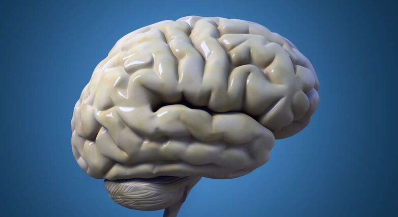 הפגיעה הנצפית במוח היא התוצאה של המחלה ולא המקור לה (צילום: Shutterstock)