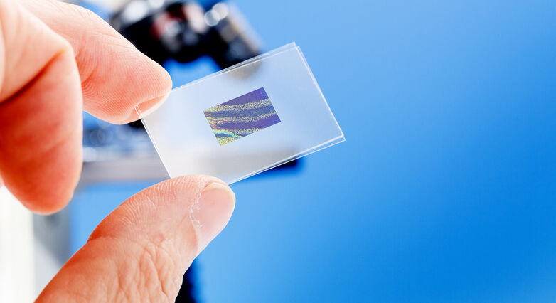 (צילום: Shutterstock) (צילום: Shutterstock)