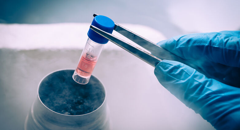 נכון לנבא שבעתיד הטיפול בתאי גזע יצליח לעצור את התקדמות מחלת הטרשת הנפוצה ואולי אף להוביל לשיקום יכולות שכבר נפגעו (צילום: Shutterstock)
