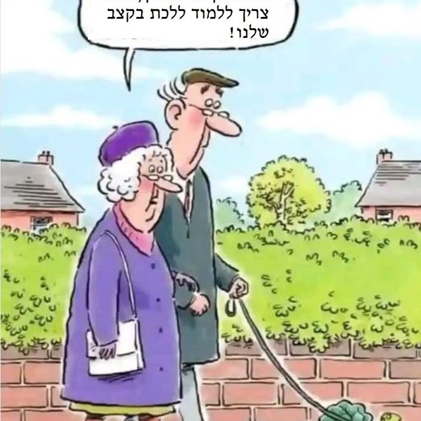 ללכת נכון ולא ליפול ללכת נכון ולא ליפול
