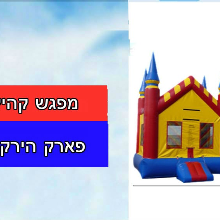 מפגש קהילת כליות ילדים 