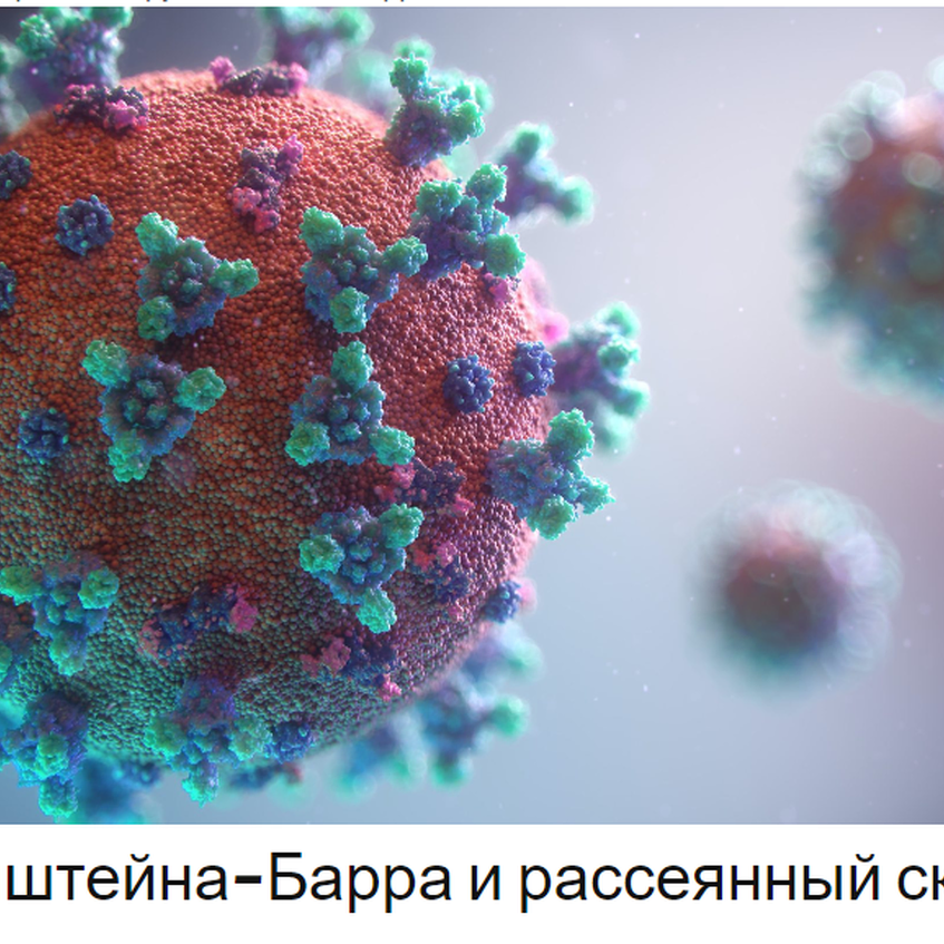 Вирус Эпштейна-Барра и рассеянный склероз (Epstein-Barr virus and MS ...