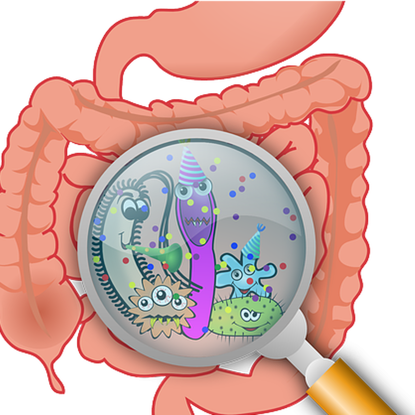 תוספי פרוביוטיקה - האם לקחת פרוביוטיקה (תוספי חיידקים 