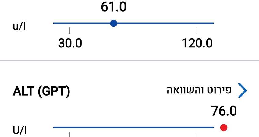 מה הצעד הבא?