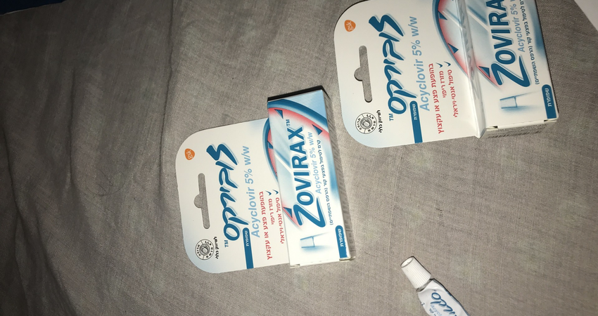 הרפס נאמן לי יותר מכלב