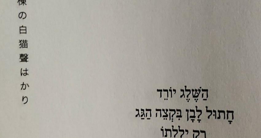 שירת הייקו