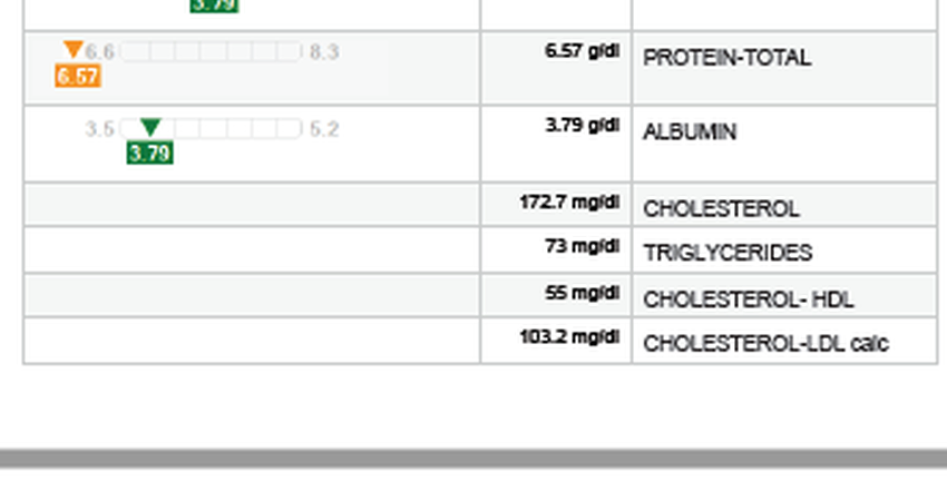 MPV=13.2 ,UREA=47.56, PROTEIN-TOTAL=6.57 ,BILIRUBIN-DIRECT=0.06